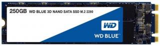 Western Digital Blue M.2 250GB Solid State Drive (WDS250G2B0B) Photo