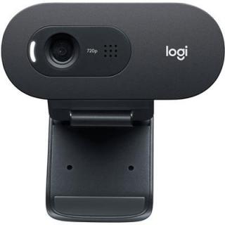 Logitech C505E HD 720p Video with Long-range Mic Business Webcam Photo