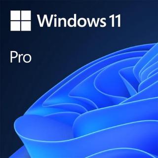 Microsoft Windows 11 Professional - ESD - Windows Photo