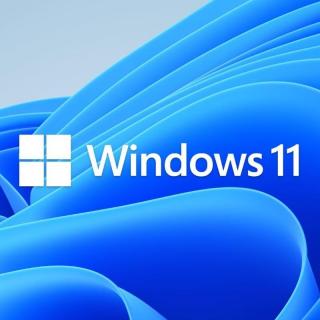 Microsoft Windows 11 Home DSP 32/64 Bit Operating System - OEM  (Advanced) Photo